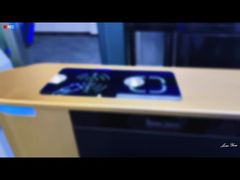 টেকসই এবং নিরাপদ, নান্দনিকভাবে আনন্দদায়ক উচ্চ-শ্রেণীর ব্রাশবিহীন অ্যালুমিনিয়াম খাদ সুইং গেট